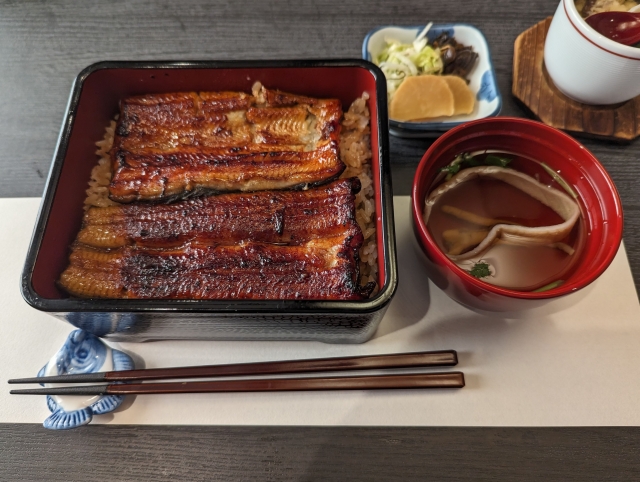 うなぎを食べたら気持ち悪くなるのはなぜ？胃もたれの解消法も紹介！